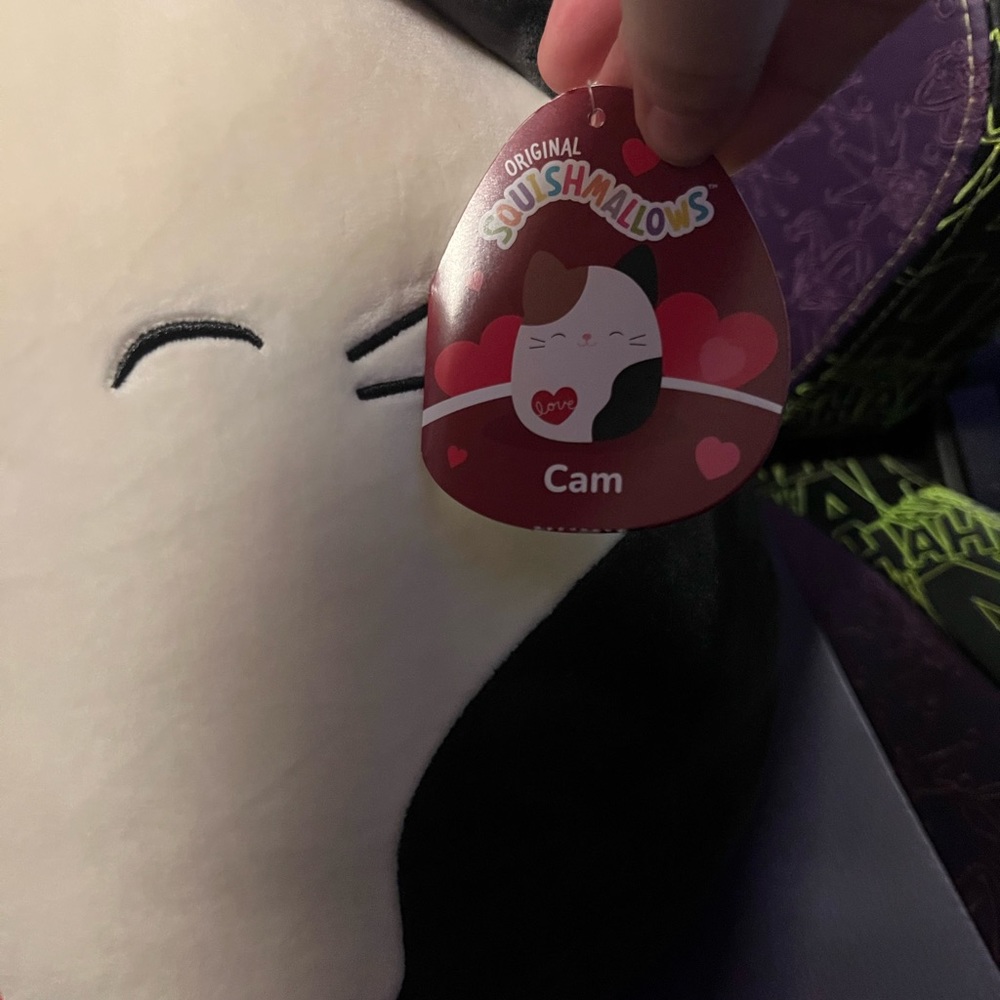Squishmallows Cam the Valentine’s Day Cat 12” Stuffed Plush - Picture 2 of 3